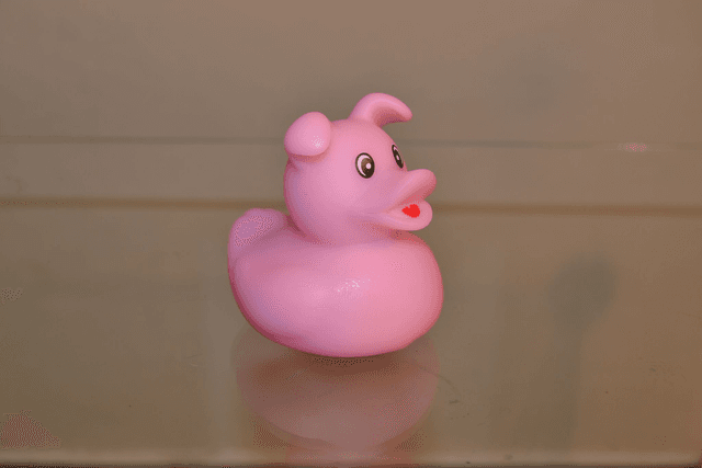 Canard chien